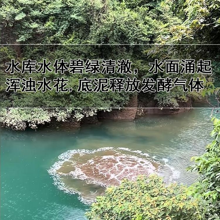 水库富营养化 水库富营养化