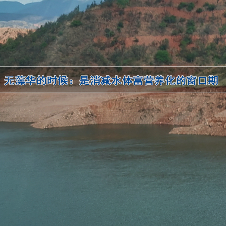 水库水生态修复 水库水生态修复