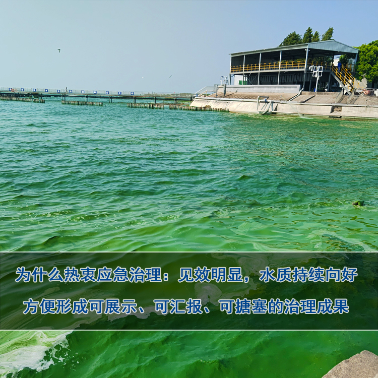 太湖蓝藻打捞 太湖蓝藻打捞