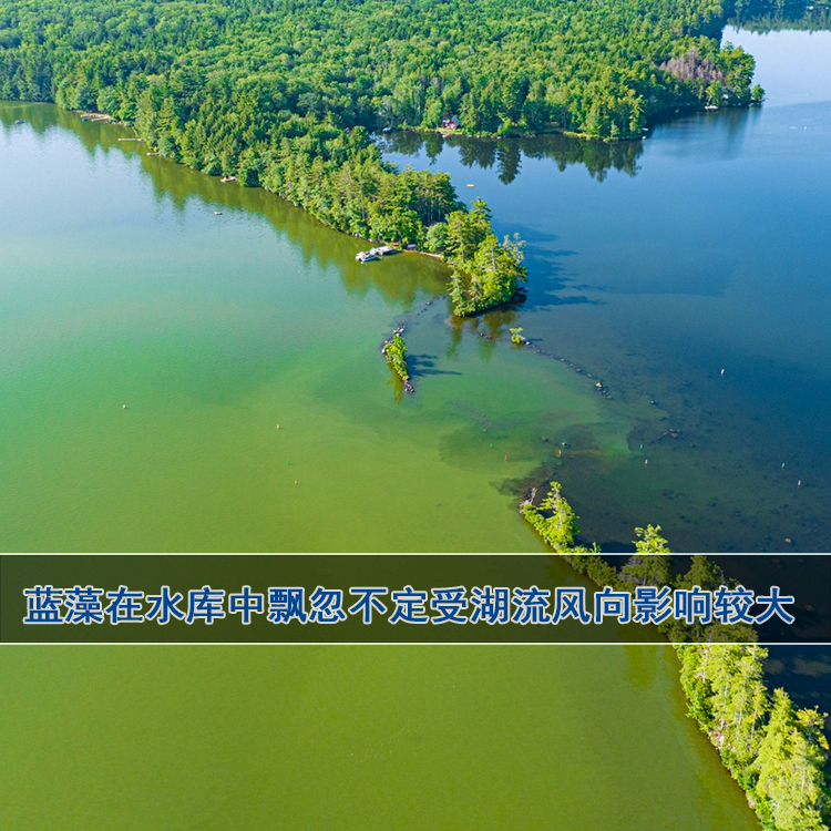 水库蓝藻水华 水库蓝藻水华