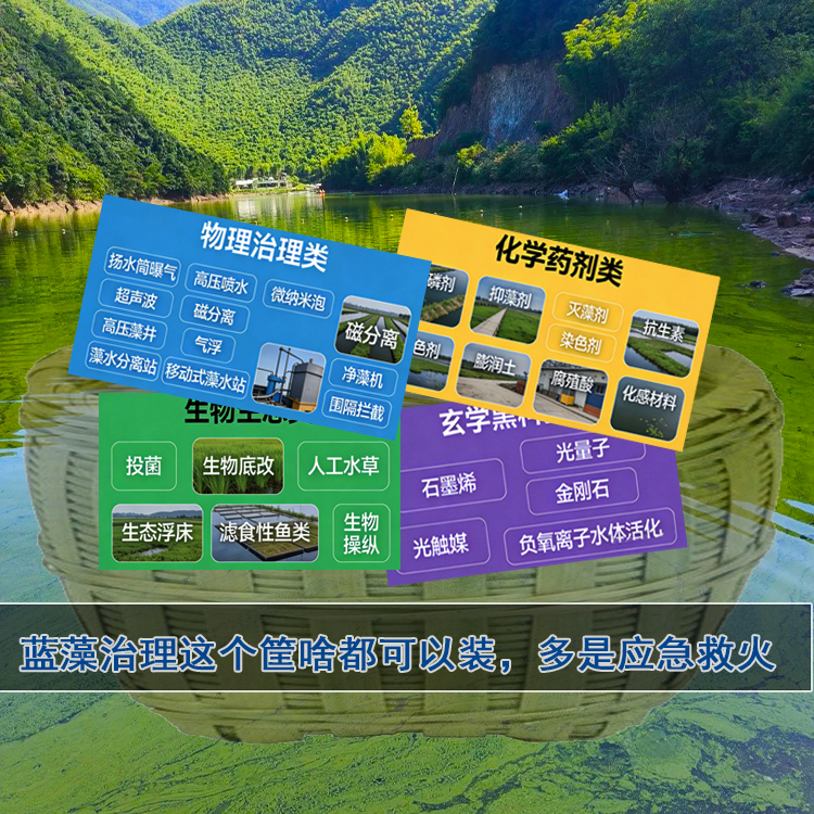 水库水生态修复 水库水生态修复