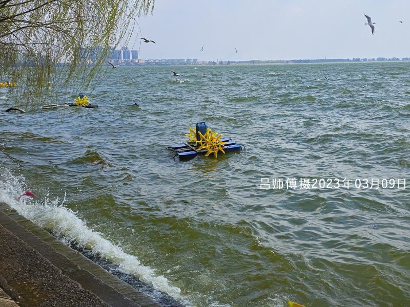 水库自净