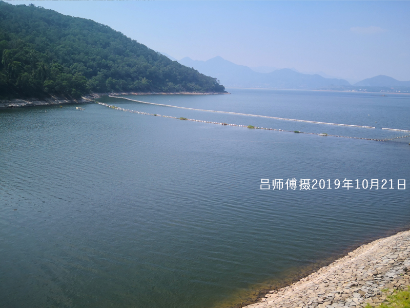 水库自净