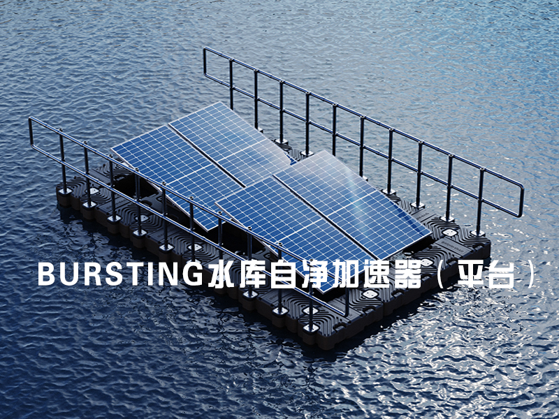 水库自净加速器