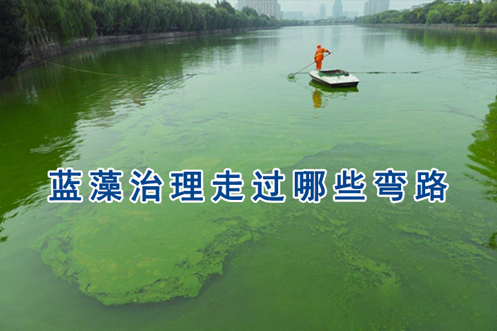 蓝藻打捞.jpg