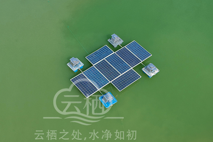 云栖蓝藻治理技术
