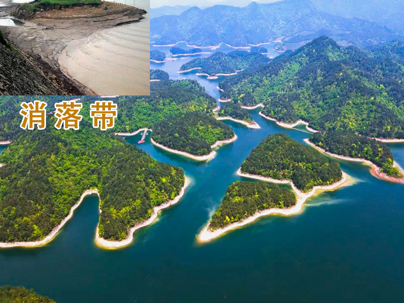 1790558659835168.jpg 消落带.jpg