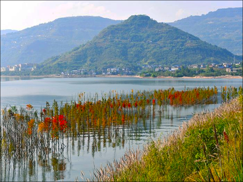 开州汉丰湖国家湿地公园.jpg