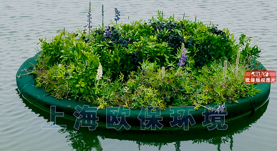 漂浮花园