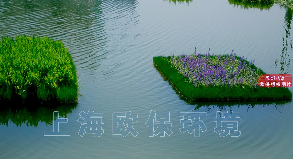 漂浮湿地