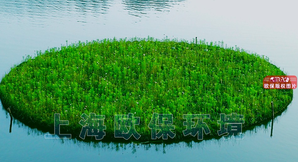 漂浮湿地