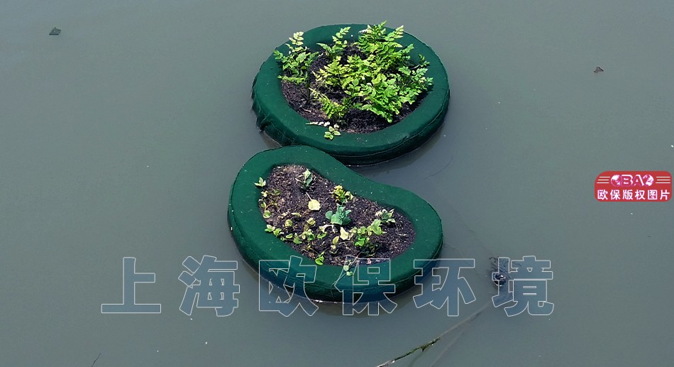 水上花园