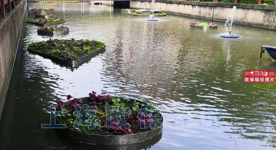 水上花园