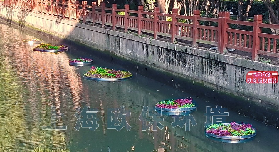 水上花园