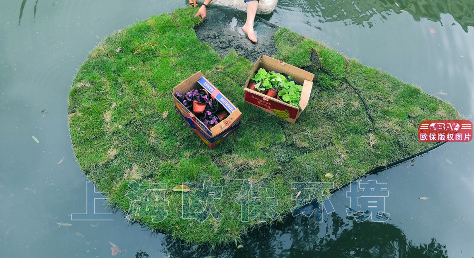 水上花园